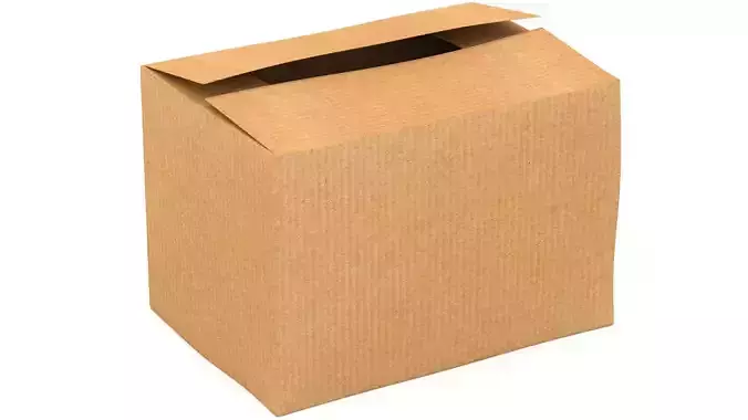 Cardboard Box 01