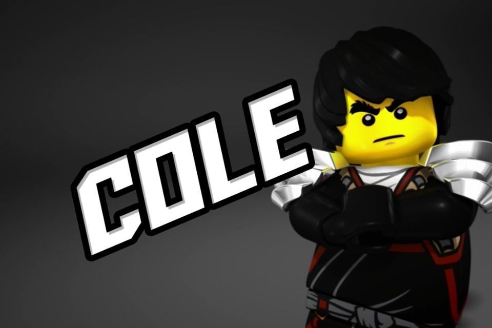 Cole The Final Battle Ninjago Low-poly 3D model_4