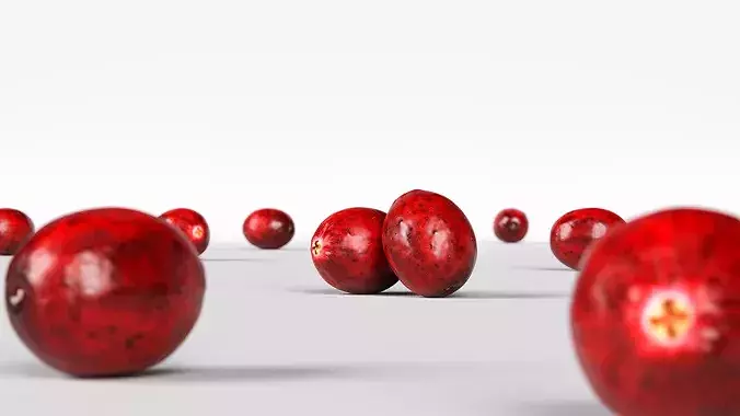 Cranberry 3D model 2