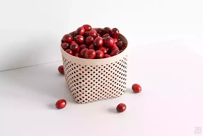 Cranberry 3D model