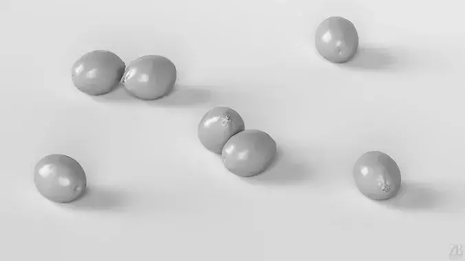 Cranberry 3D model 4