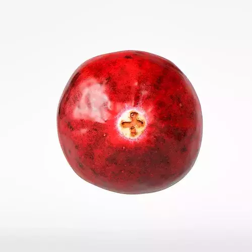 Cranberry 3D model 7