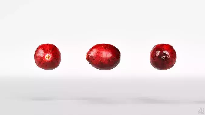 Cranberry 3D model 5