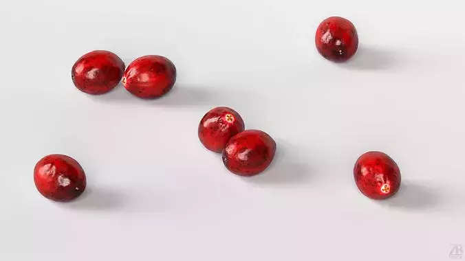 Cranberry 3D model 3