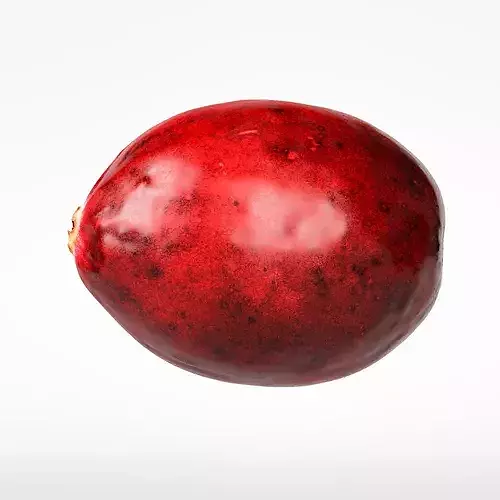 Cranberry 3D model 6