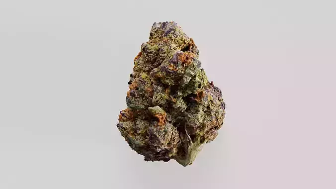 Cannabis Marijuana Weed Bud 04 3D model