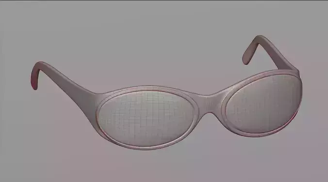 Sunglasses 31