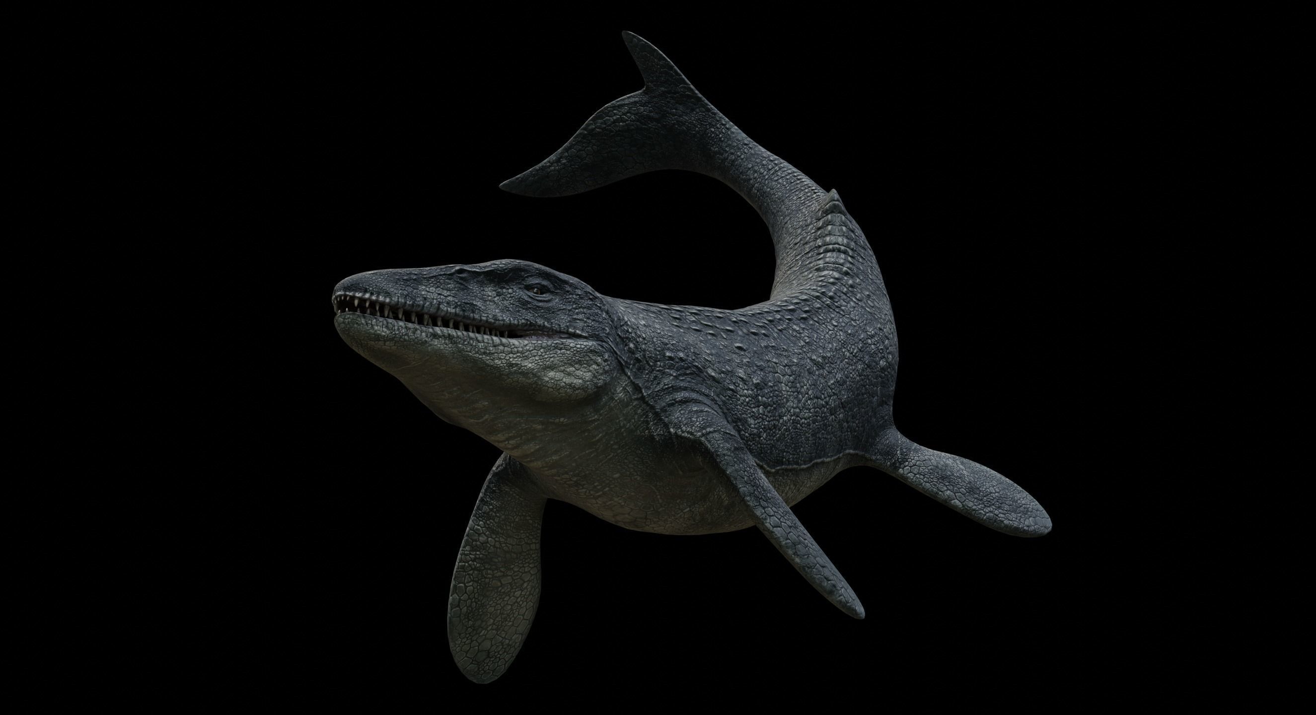 Mosasaurus Mosasaur Low-poly 3D model_4
