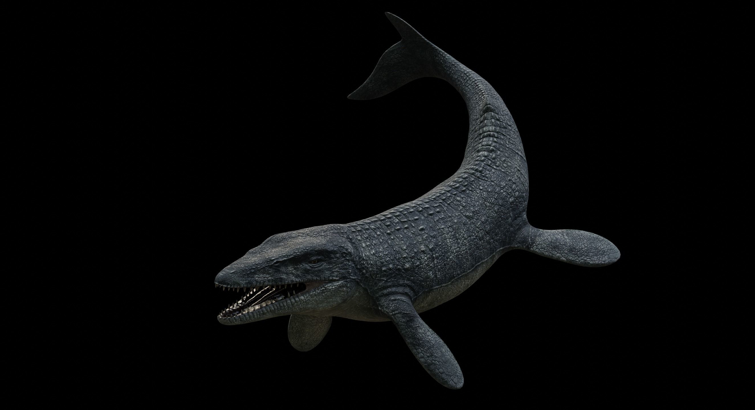 Mosasaurus Mosasaur Low-poly 3D model_8