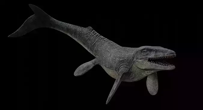 Mosasaurus Mosasaur Low-poly 3D model