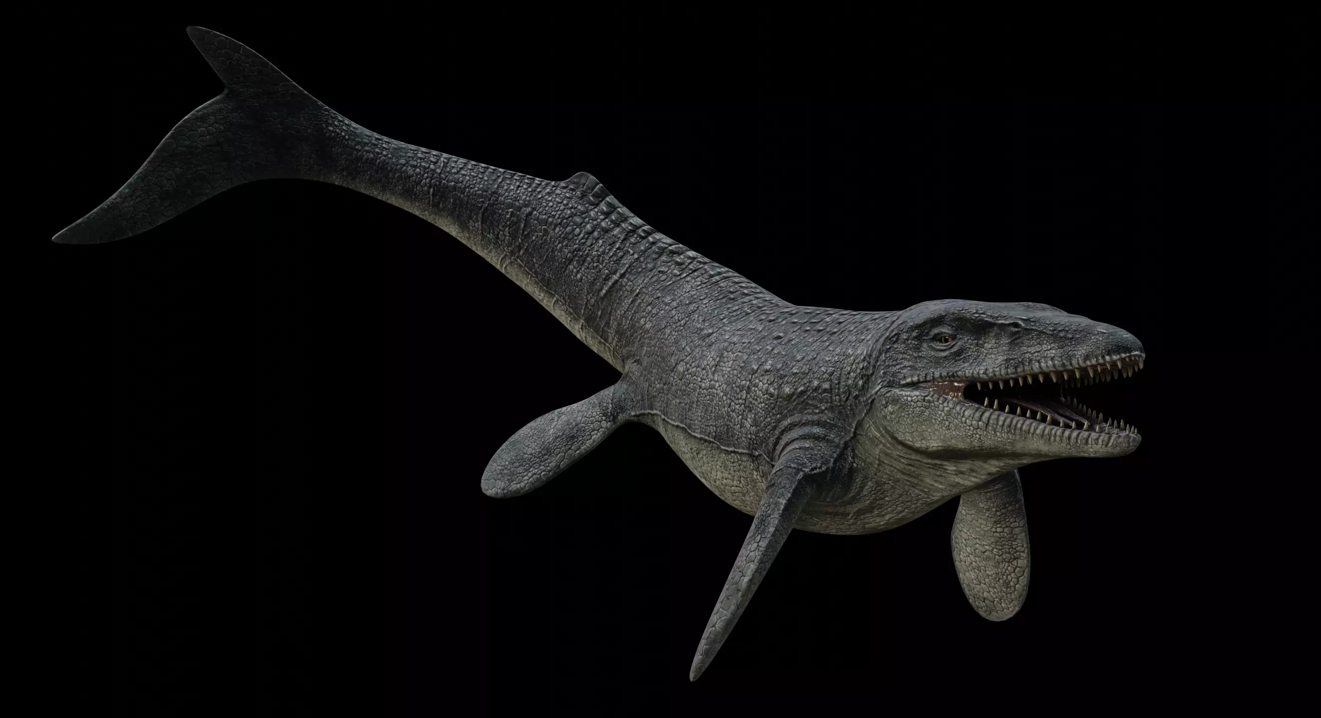 Mosasaurus Mosasaur Low-poly 3D model_0