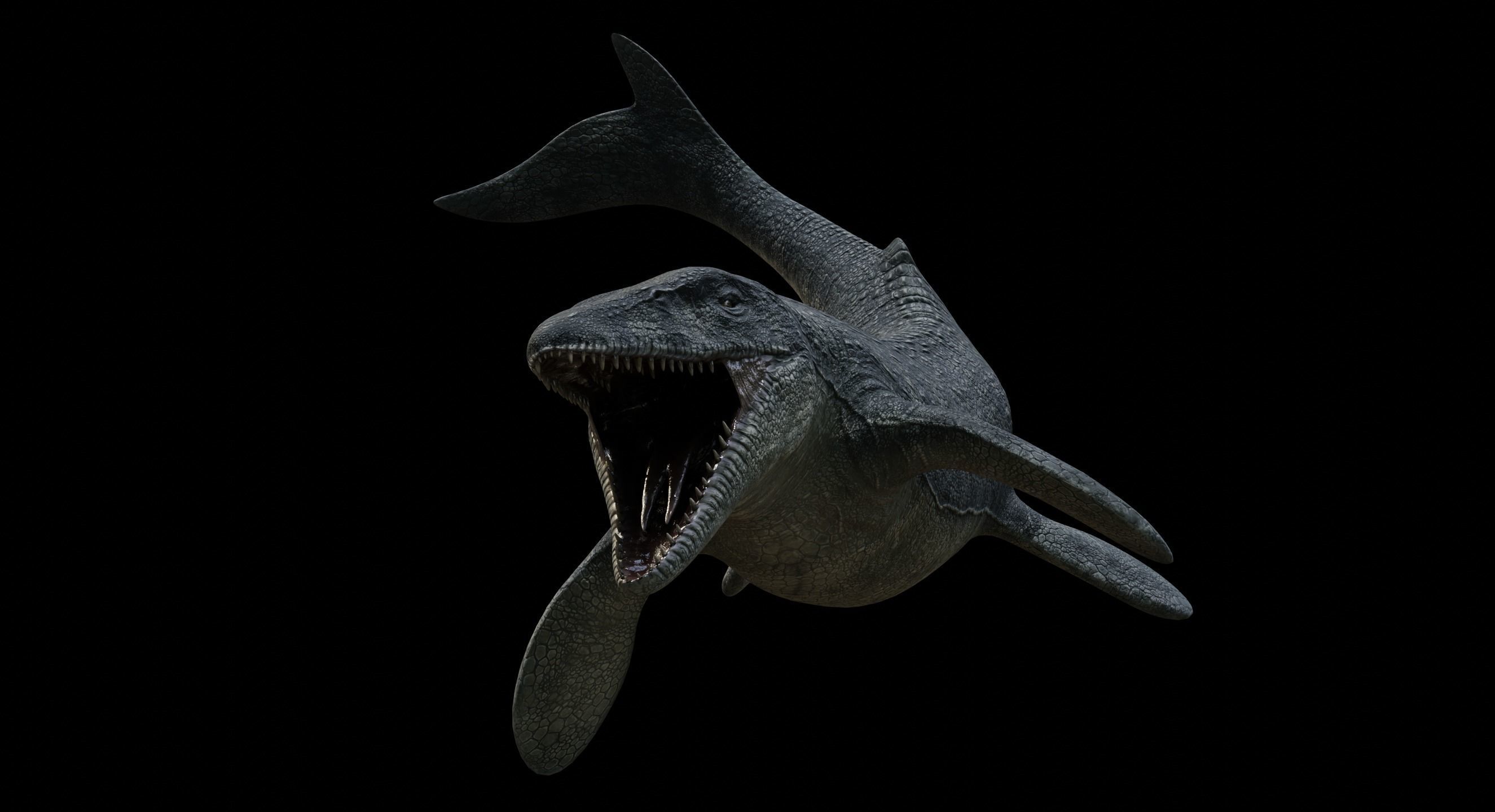 Mosasaurus Mosasaur Low-poly 3D model_7
