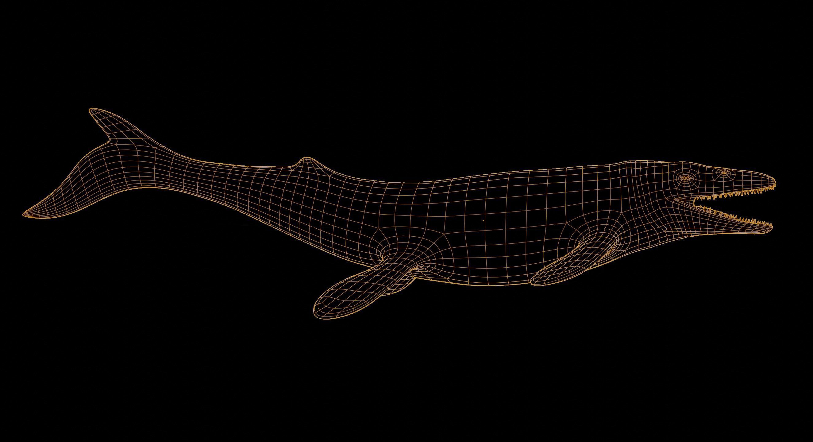 Mosasaurus Mosasaur Low-poly 3D model_15