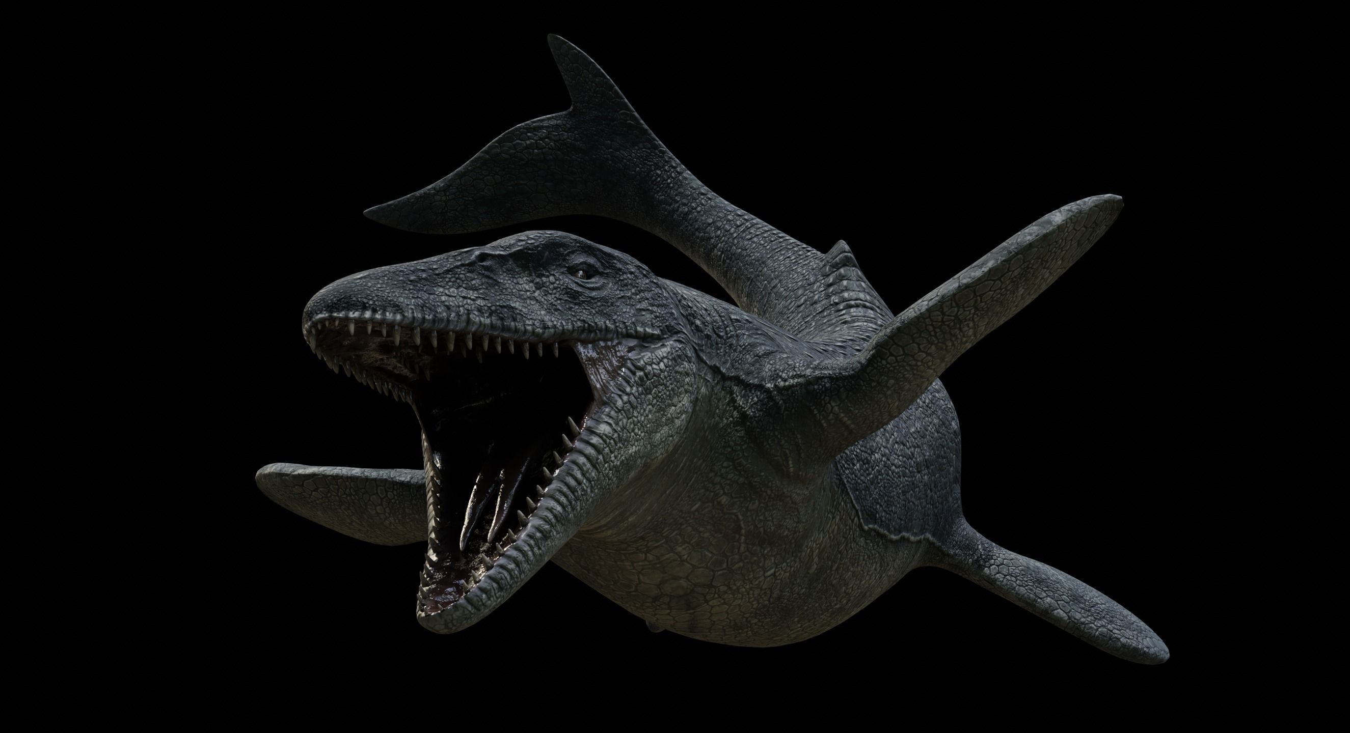 Mosasaurus Mosasaur Low-poly 3D model_13