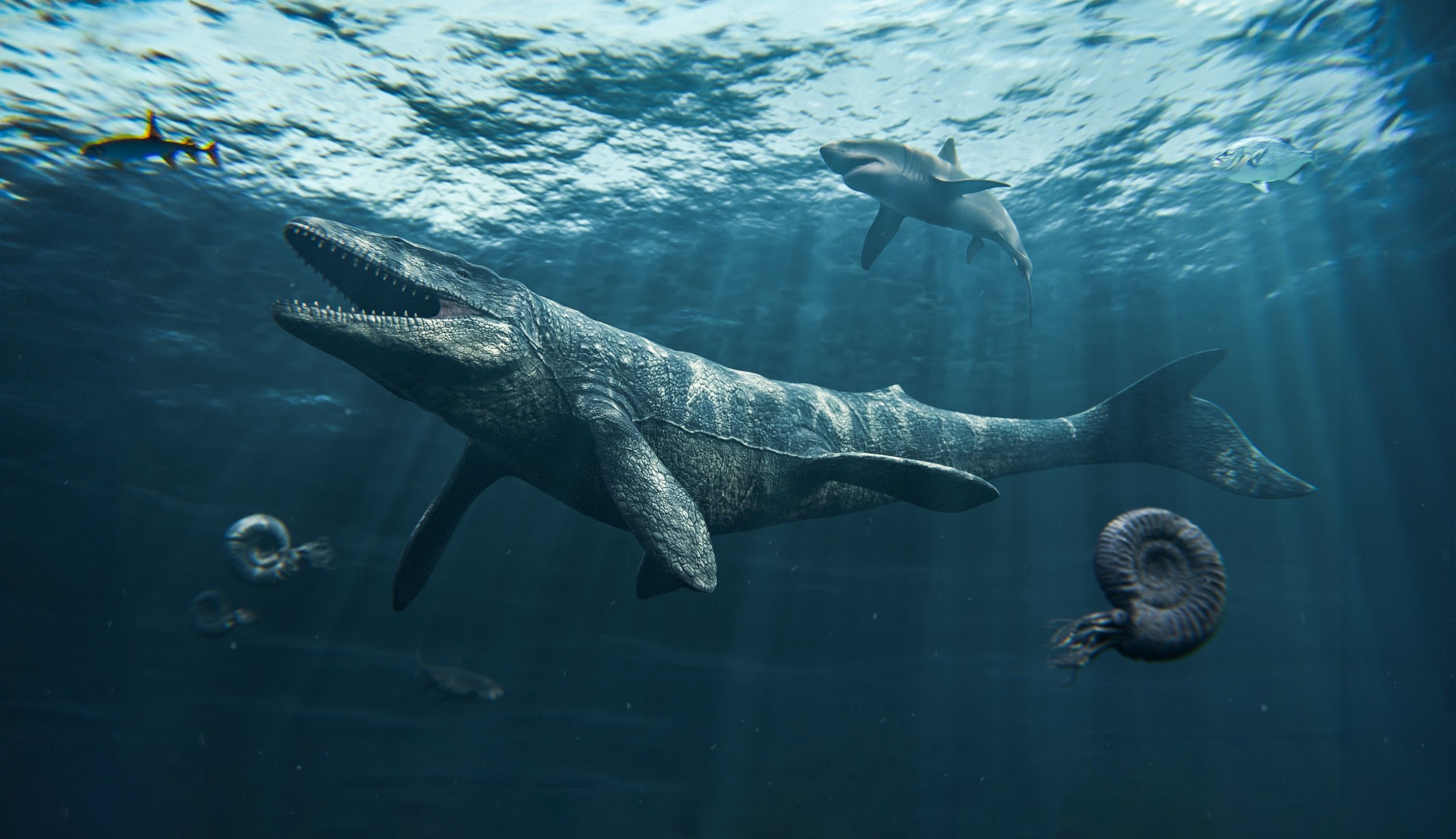 Mosasaurus Mosasaur Low-poly 3D model_2