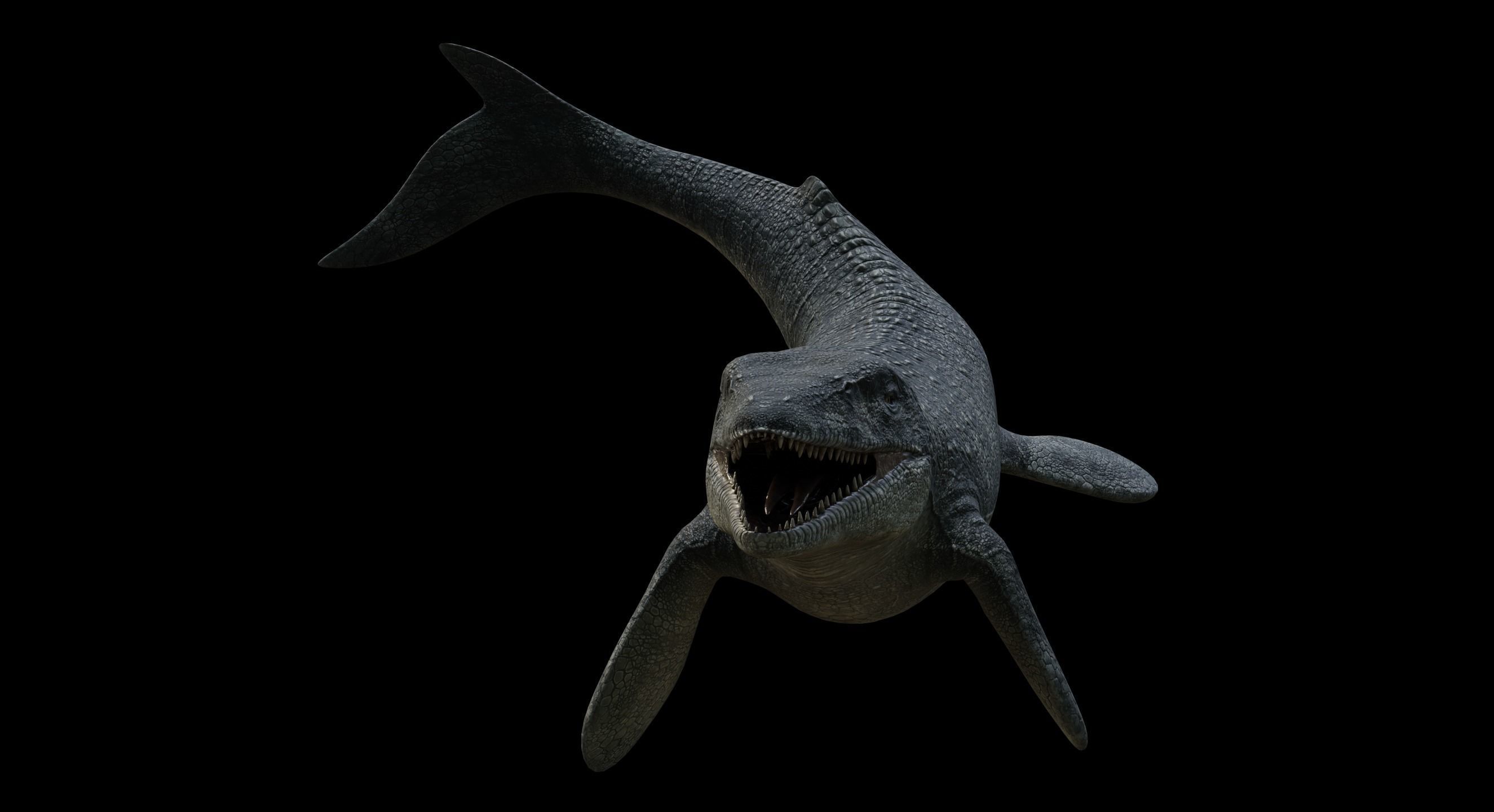 Mosasaurus Mosasaur Low-poly 3D model_10