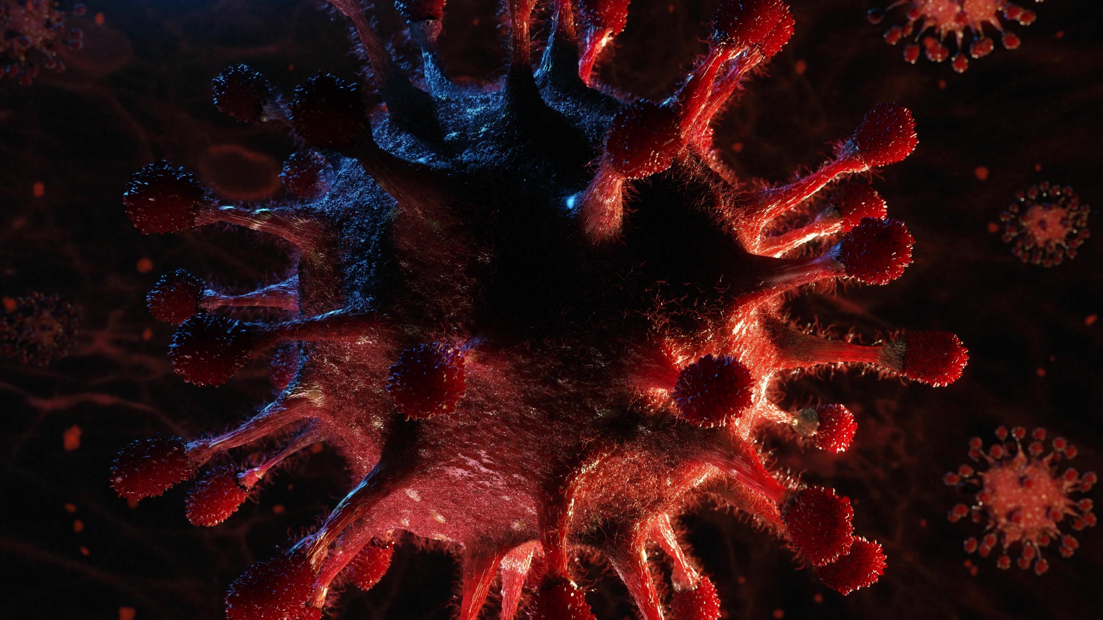 3D model of an ANIMATED scene covid-19 3D model_0