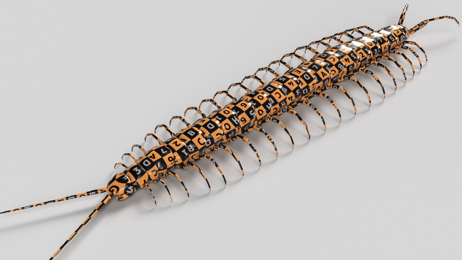 Amazonian giant centipede - Scolopendra gigantea  3D model_10