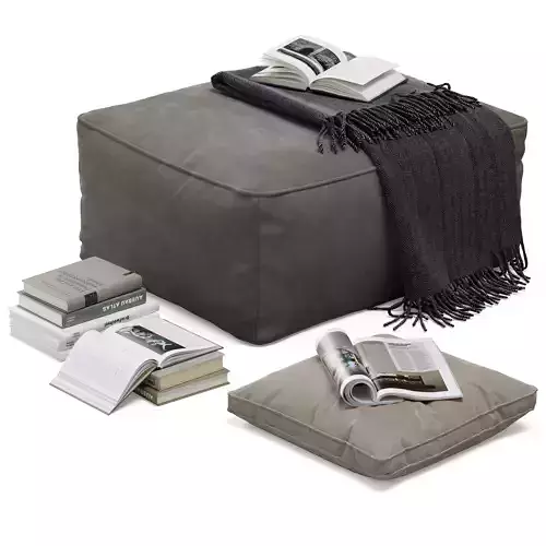 Floor decor set 001 with pouf and books