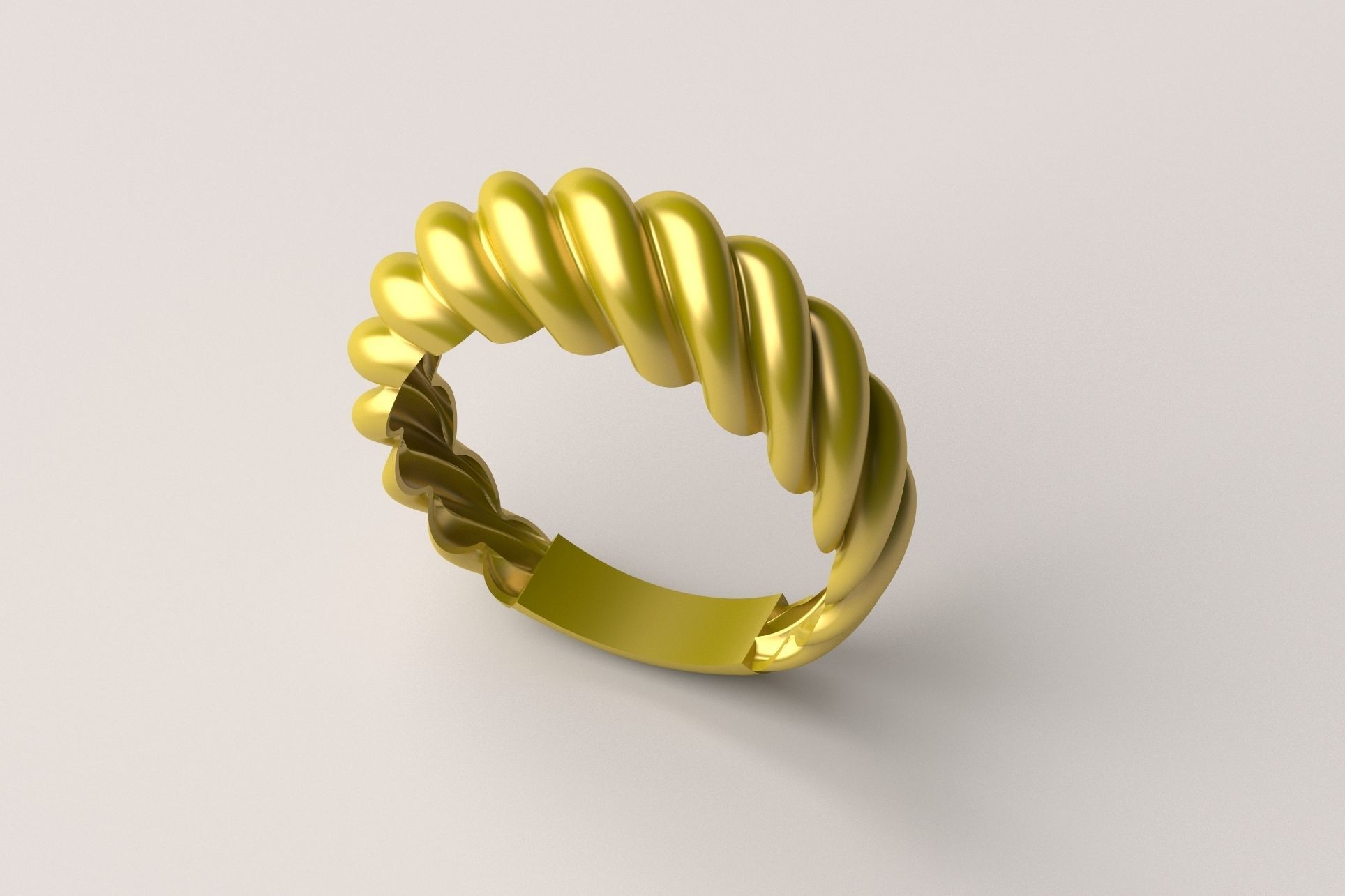 Ring R 02 3D print model_3