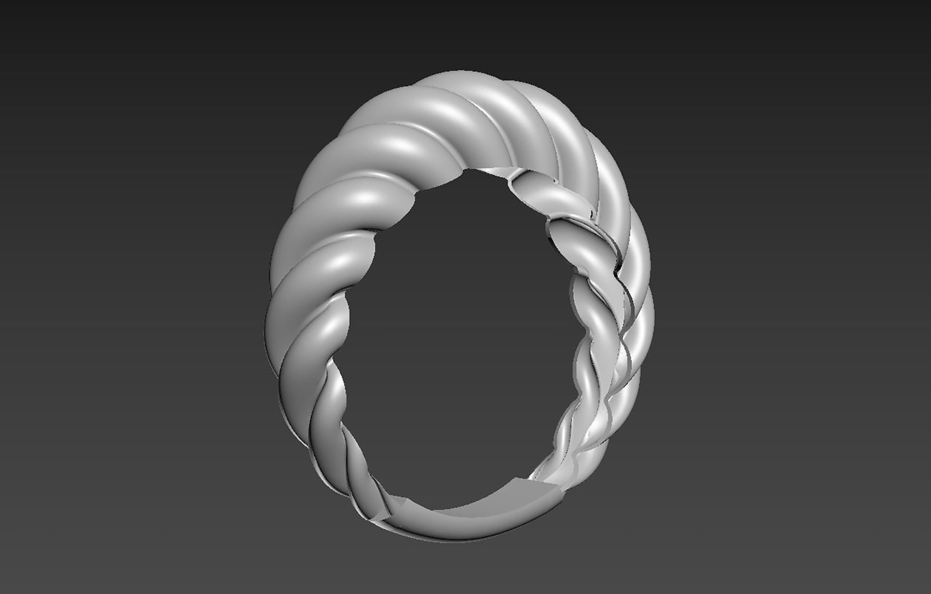 Ring R 02 3D print model_7