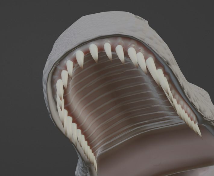 Tyrannosaurus Rex Model - texture painted with bump 3D model_9