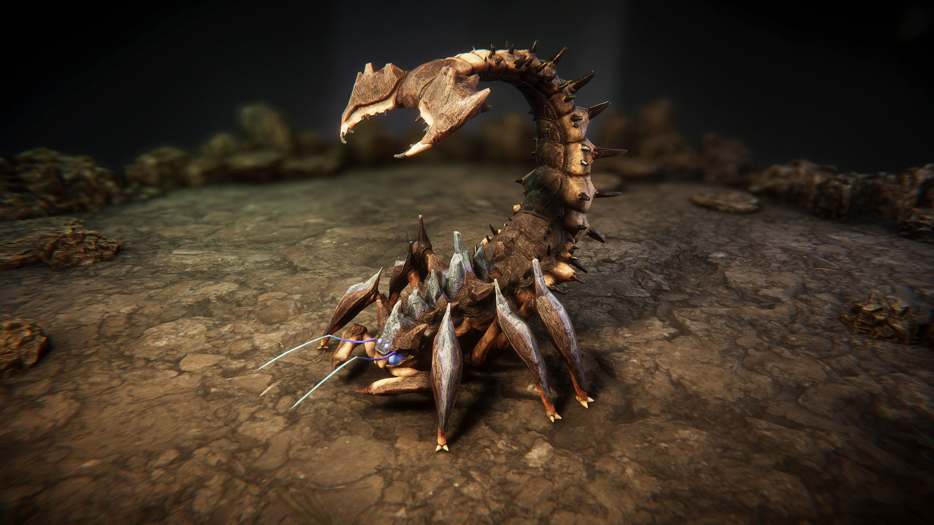 Insect beasts 2 Low-poly 3D model_5