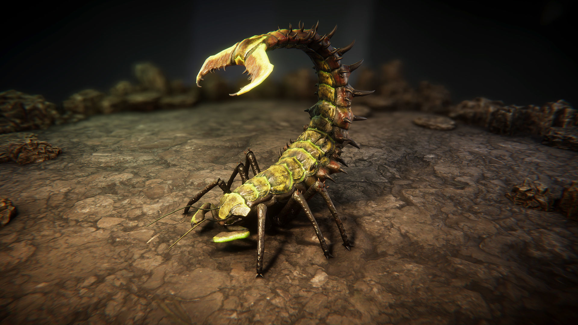 Insect beasts 2 Low-poly 3D model_11