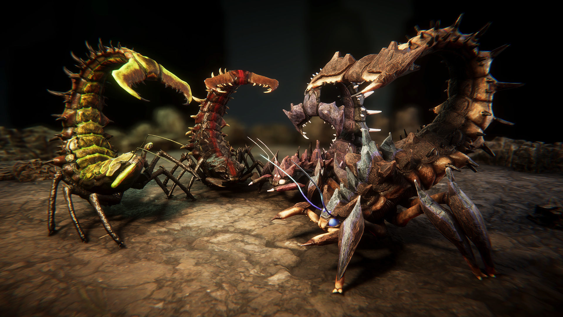 Insect beasts 2 Low-poly 3D model_3