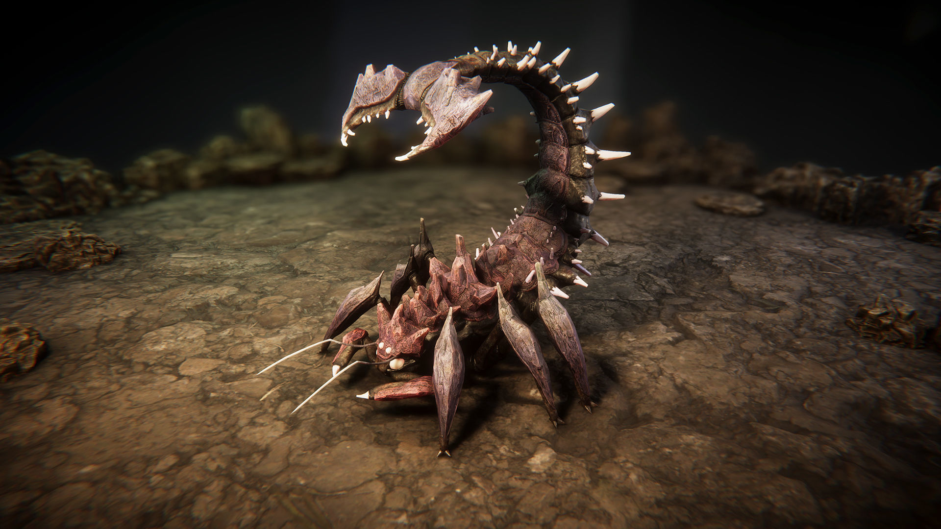 Insect beasts 2 Low-poly 3D model_7