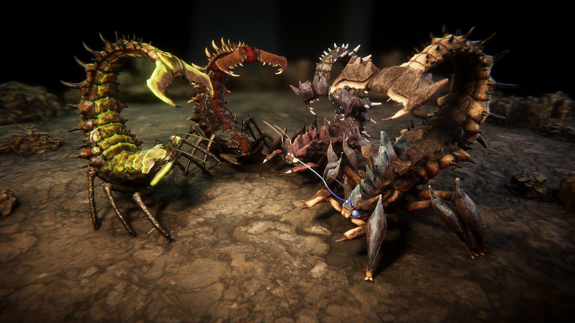 Insect beasts 2 Low-poly 3D model_2