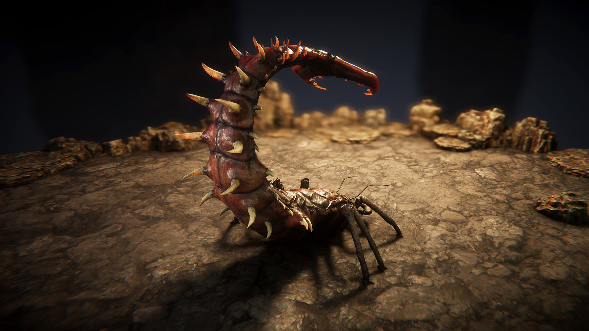 Insect beasts 2 Low-poly 3D model_10