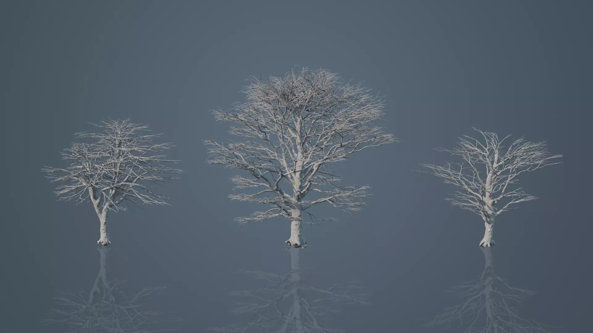 Large Dead Trees 3D model_0