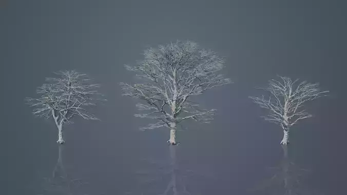 Large Dead Trees 3D model