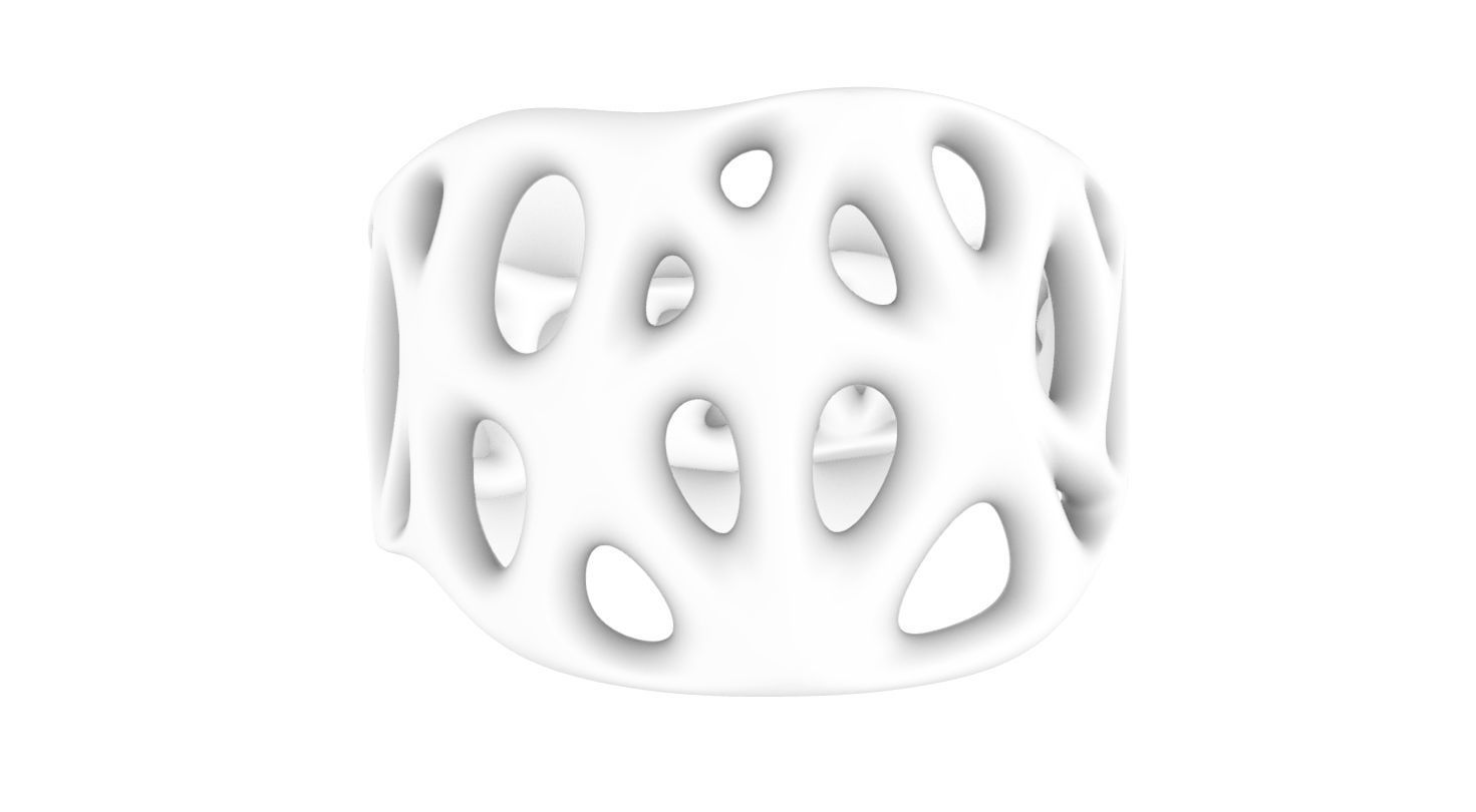 biogrid ring flat 3D print model_3