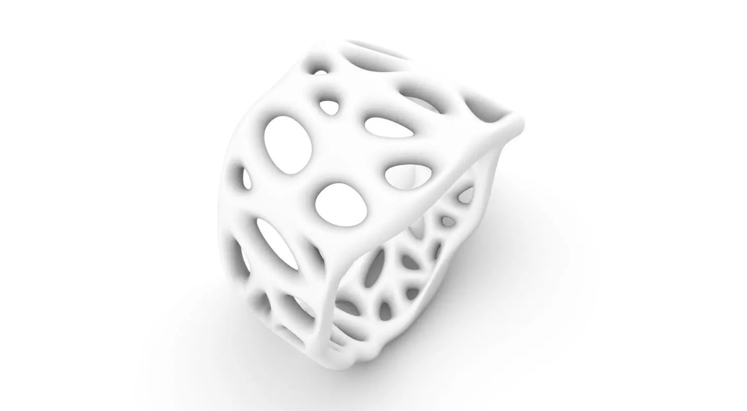 biogrid ring flat 3D print model_0