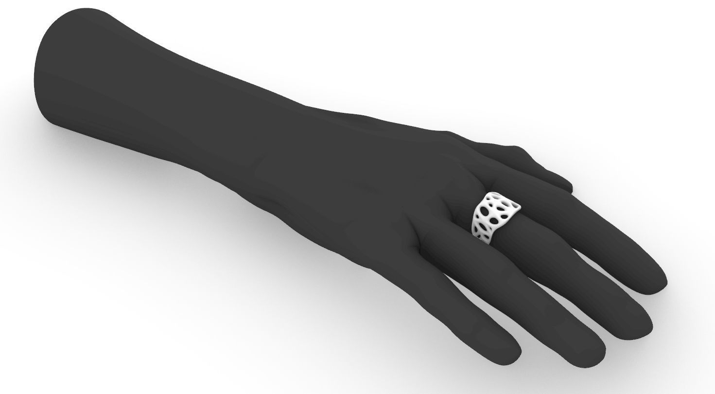 biogrid ring flat 3D print model_1