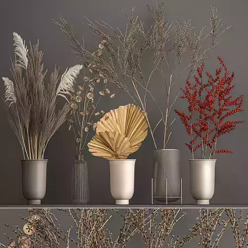 Collection of bouquets of dried flowers 206