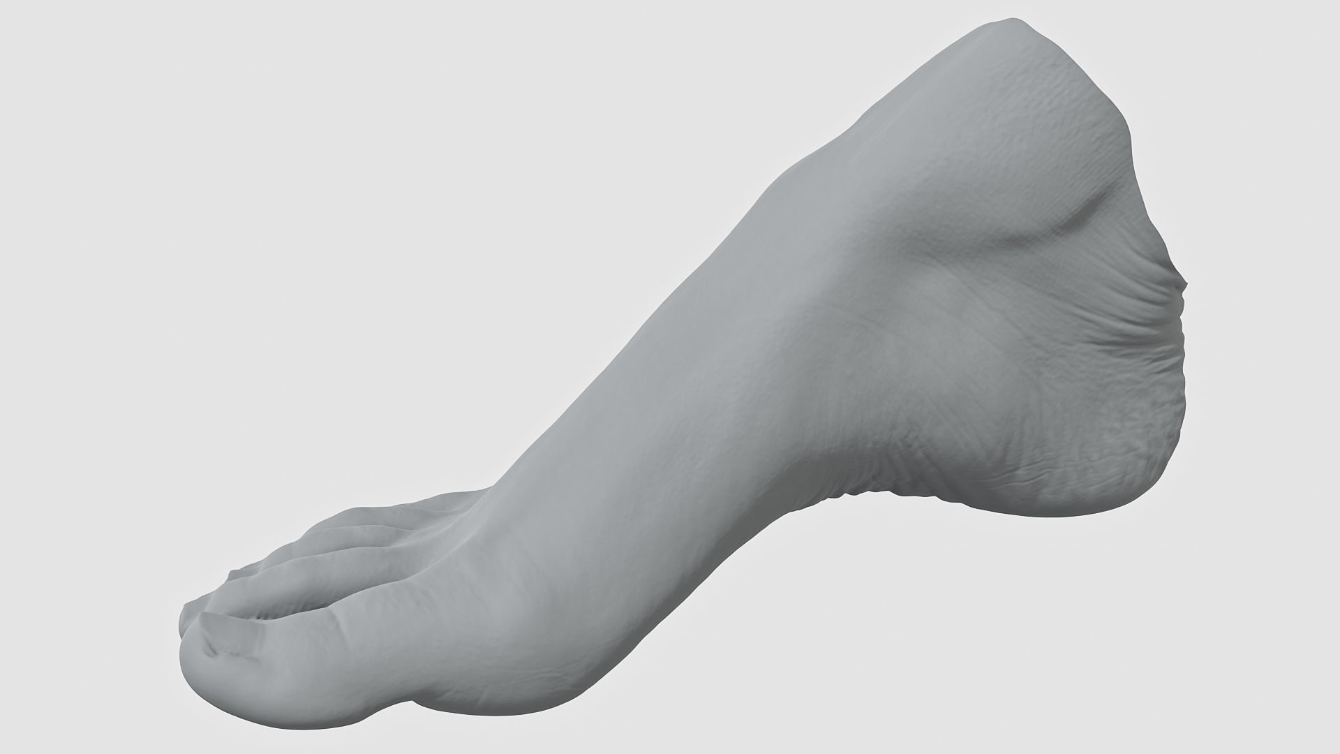 Womans Foot 3D Scan 3D model_1