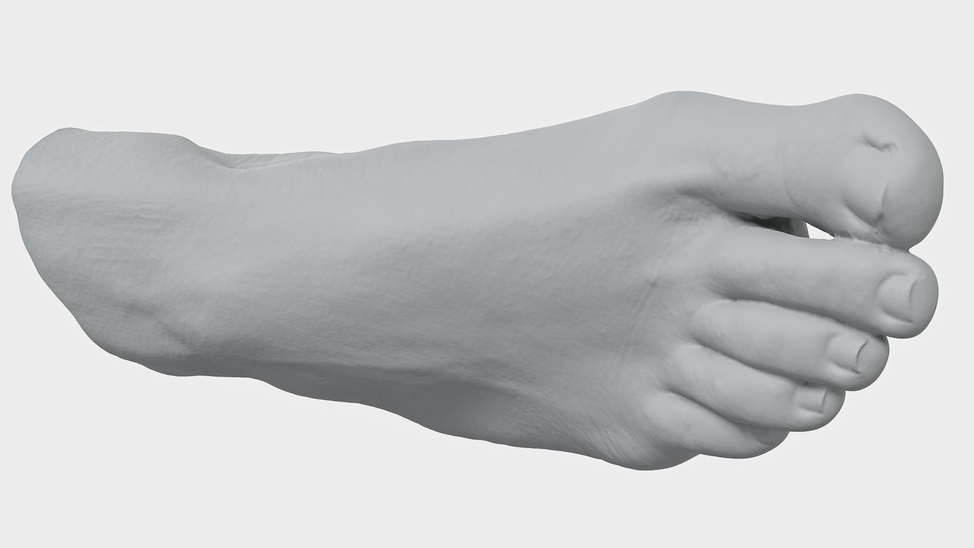 Womans Foot 3D Scan 3D model_4