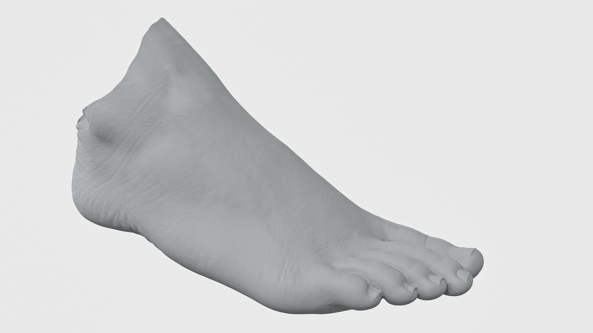 Womans Foot 3D Scan 3D model_2