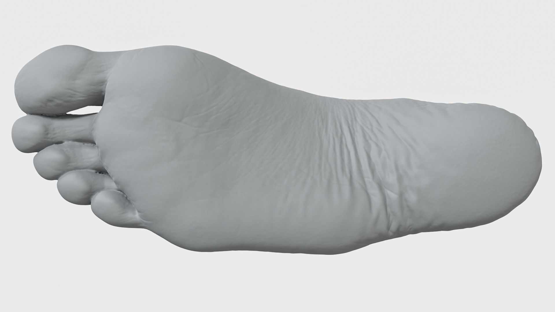 Womans Foot 3D Scan 3D model_3