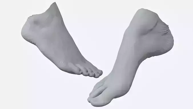 Womans Foot 3D Scan 3D model
