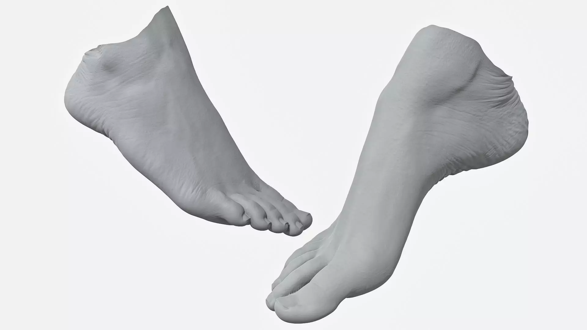 Womans Foot 3D Scan 3D model_0