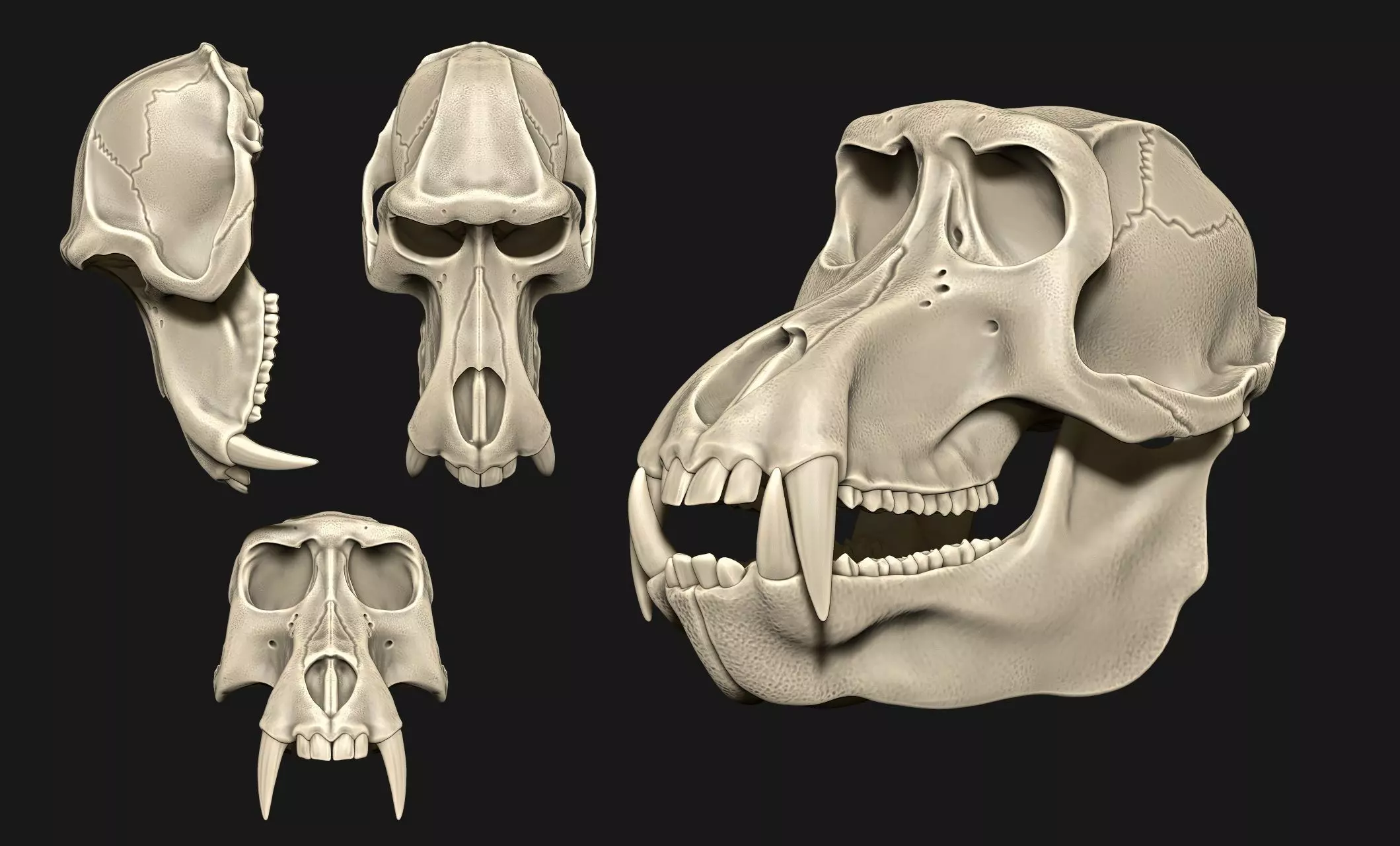 Baboon Skull CNC and 3D print model_0