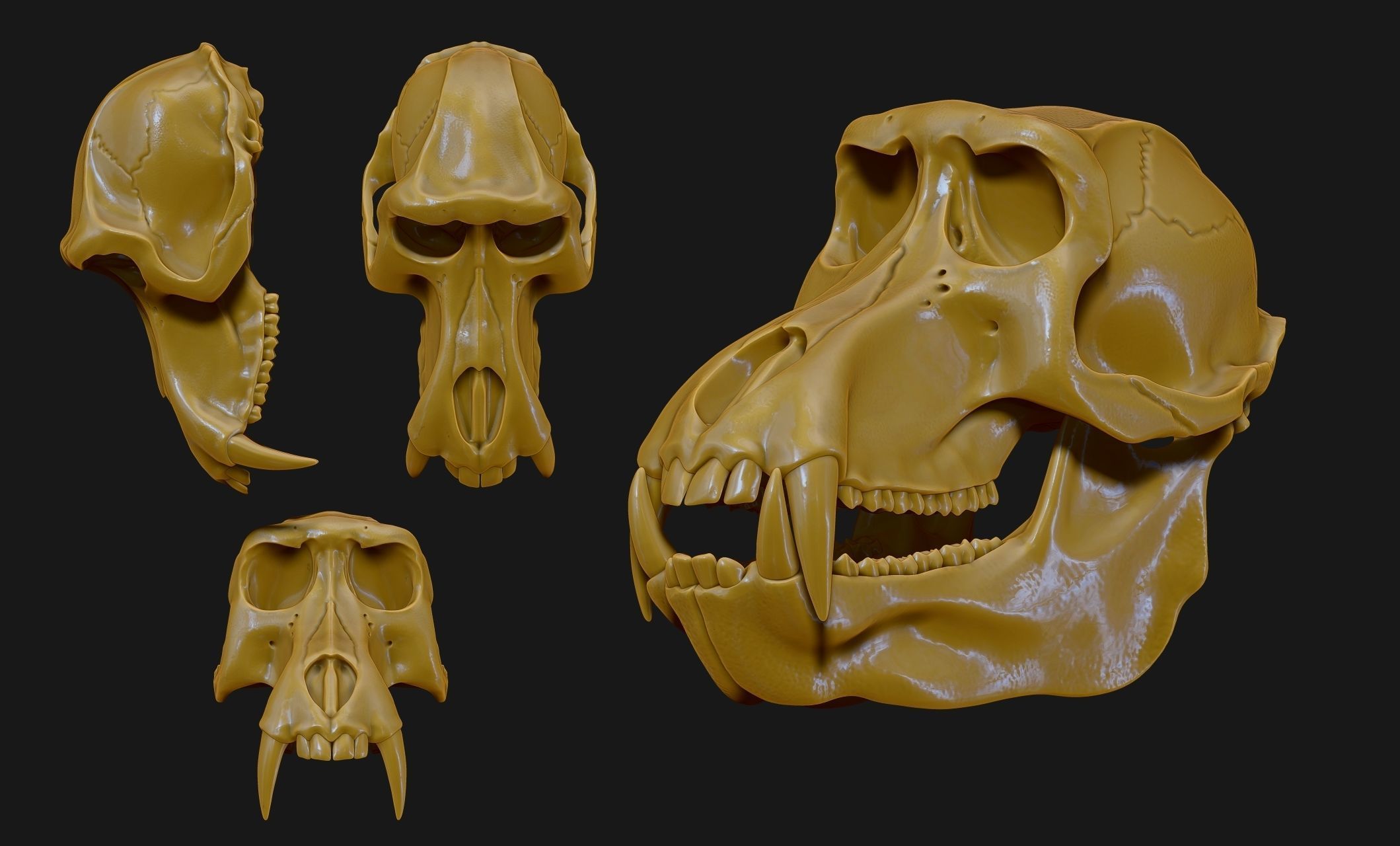 Baboon Skull CNC and 3D print model_22