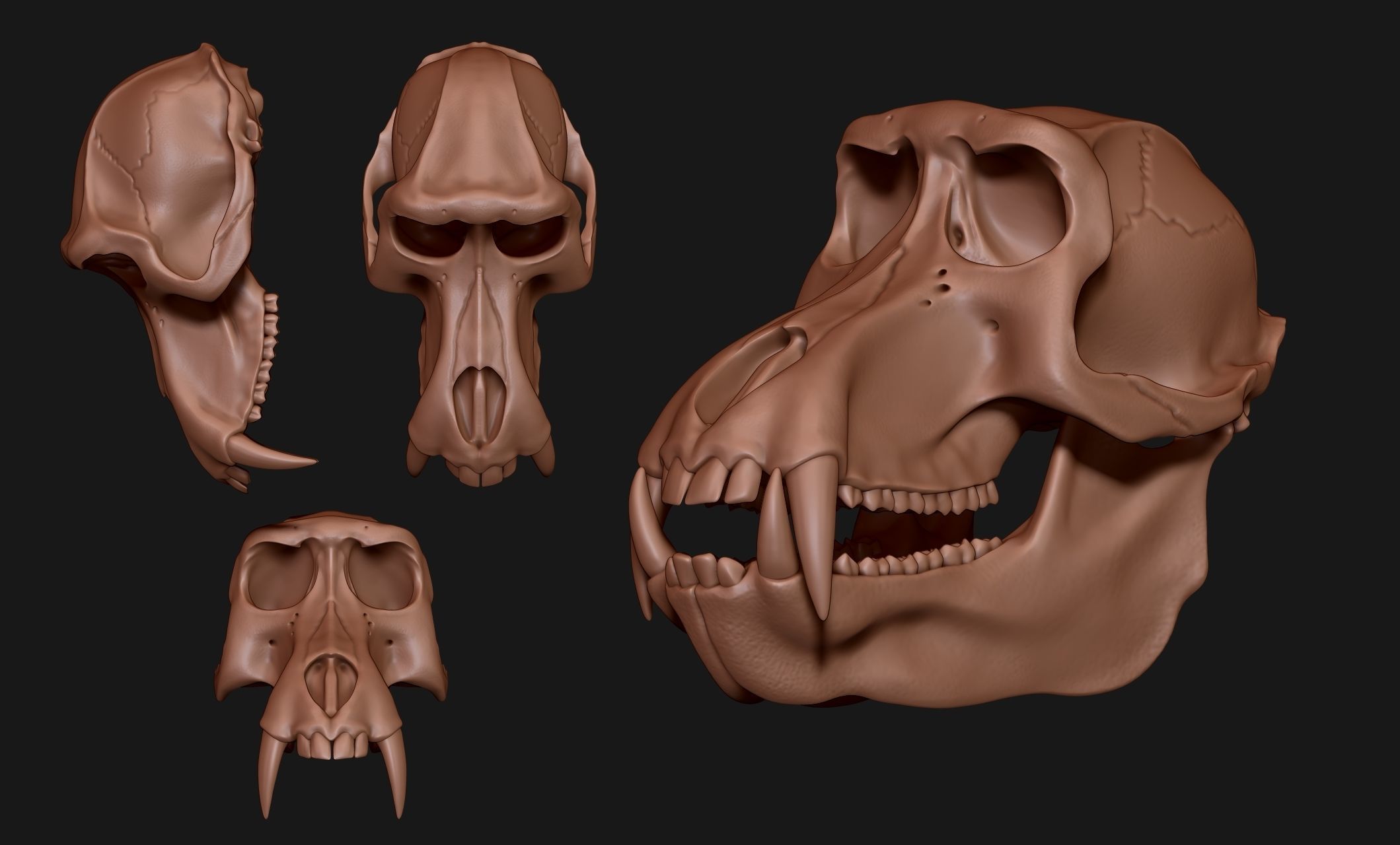 Baboon Skull CNC and 3D print model_24