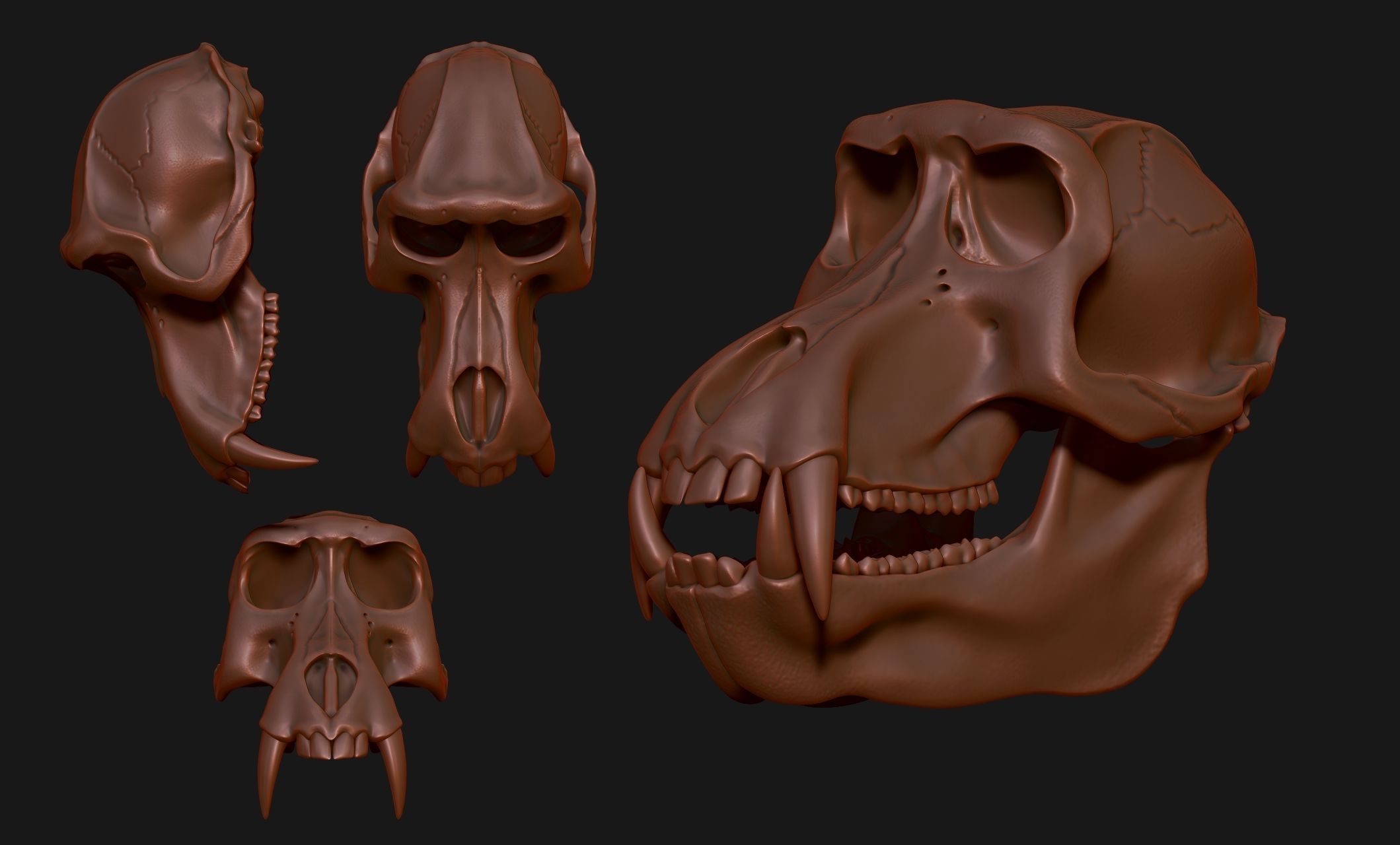 Baboon Skull CNC and 3D print model_20