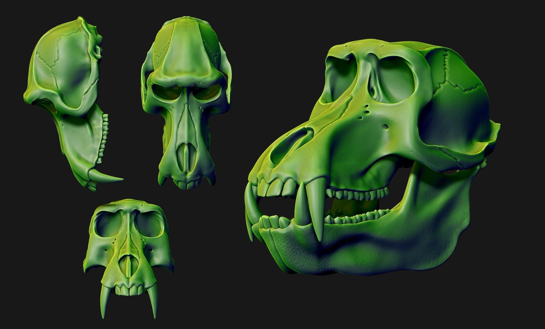 Baboon Skull CNC and 3D print model_17