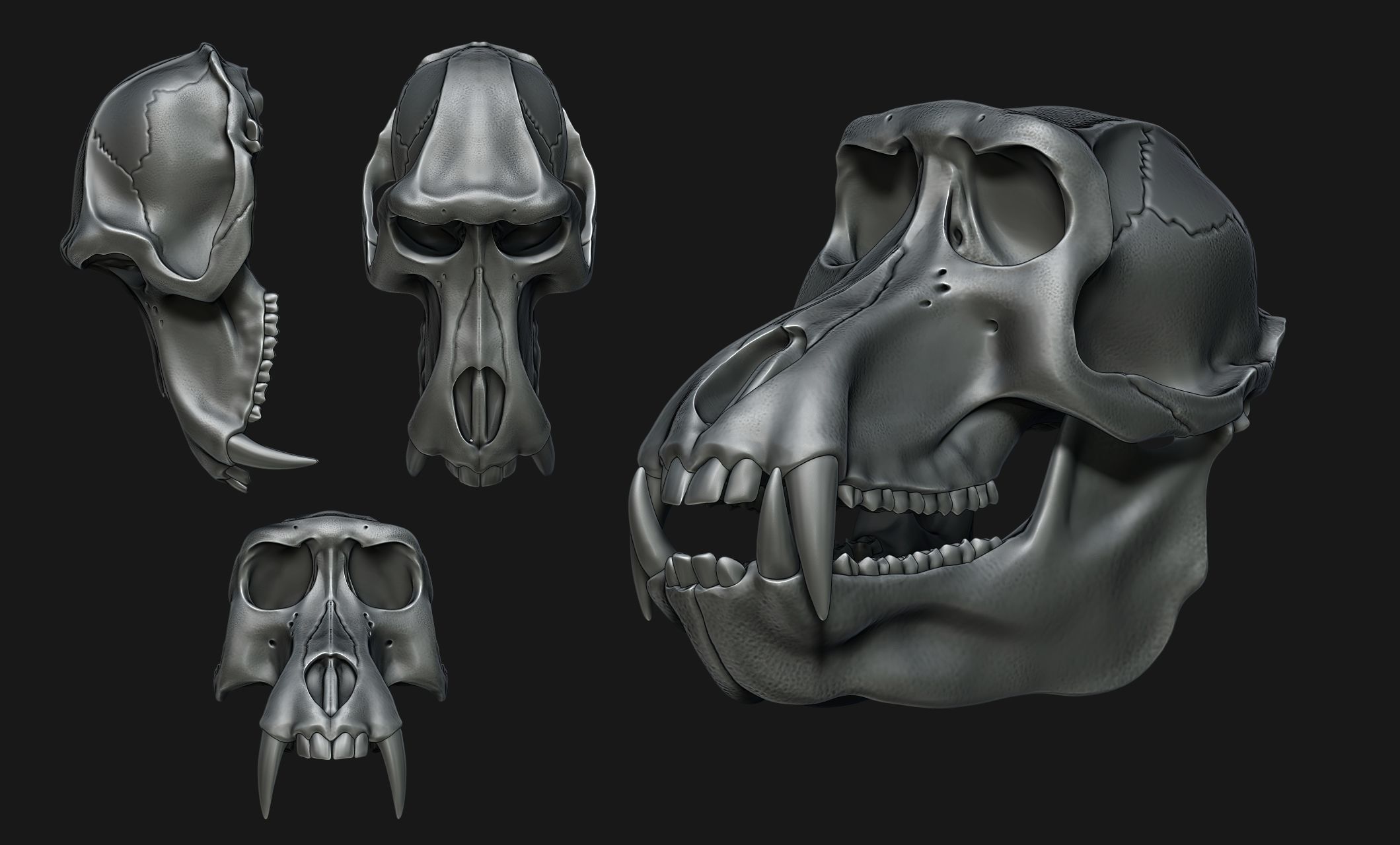 Baboon Skull CNC and 3D print model_2